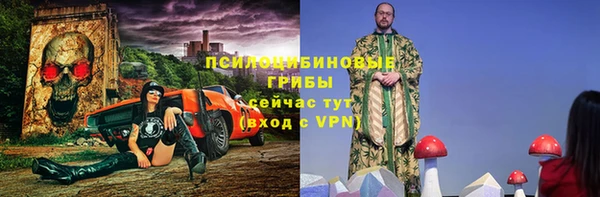 бошки Богданович