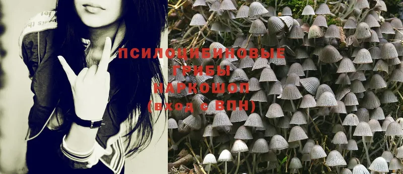 KRAKEN ССЫЛКА  Людиново  Псилоцибиновые грибы Magic Shrooms  купить закладку 